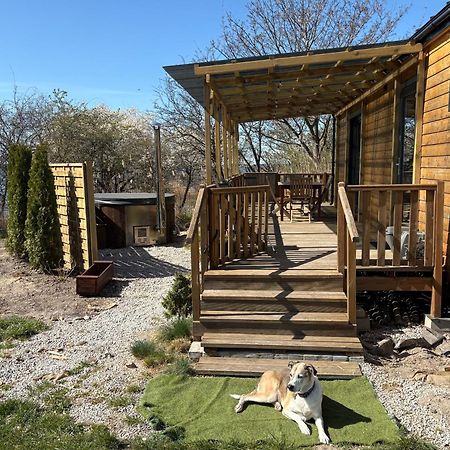 Tiny Beach House Heated And Airconditioned Wapnica  Buitenkant foto